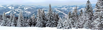Snowy Mountain Landscape With Pine Trees And Distant Ranges