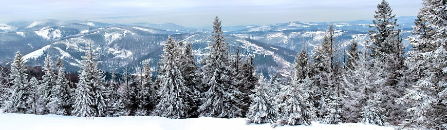 Snowy Mountain Landscape With Pine Trees And Distant Ranges