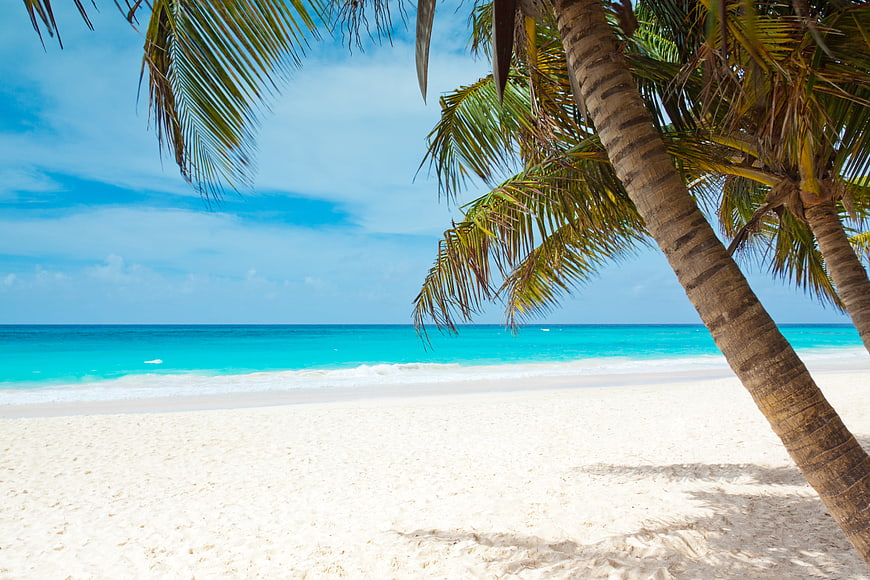 Tropical beach with palm trees and turquoise ocean water