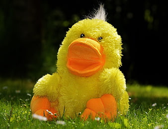 Cute yellow plush duck toy sitting in green grass