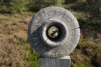Close-up of weathered wooden post with natural background