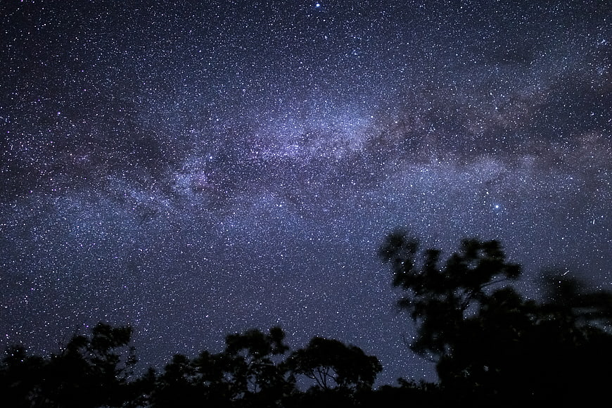 Milky Way Galaxy Over Silhouetted Trees at Night