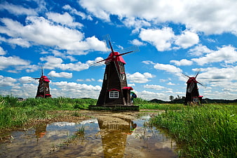 Traditional Dutch Windmills in Green Field with Blue Sky