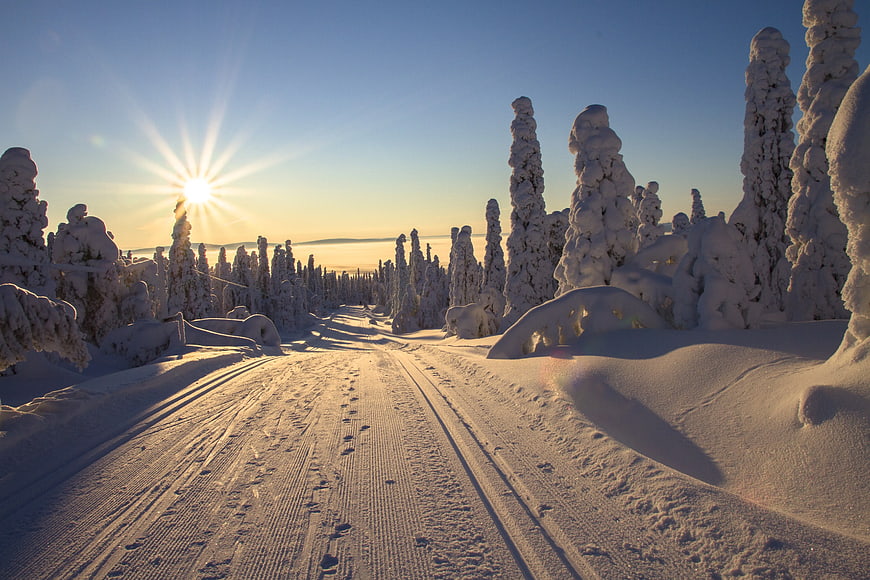 Sunrise on a Snow-Covered Cross-Country Ski Trail
