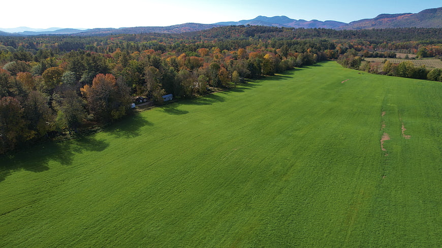 Aerial View of Green Field and Autumn Forest with Mountains