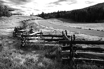 Rural wooden fence along winding country road landscape