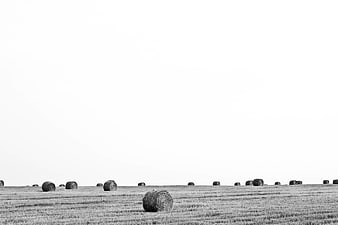 Minimalist Black and White Hay Bales in Harvested Field