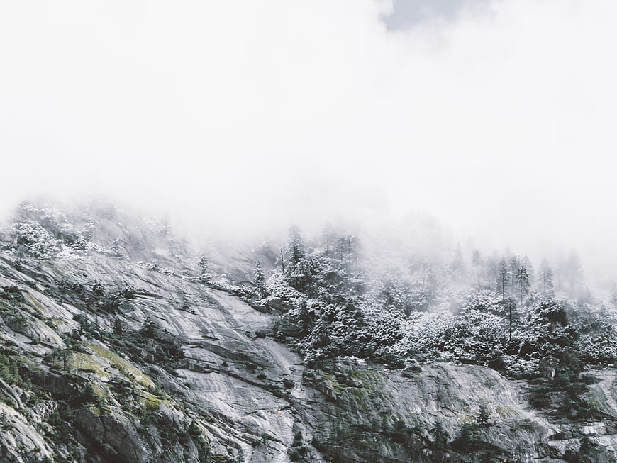 Misty Snow-Covered Mountain Slope with Pine Trees