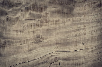Weathered Wood Texture Background with Cracks and Grain