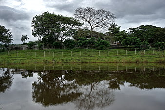 Rural landscape with pond reflection and overcast sky