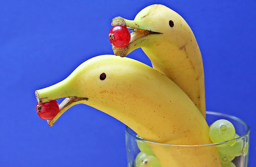Creative banana ducks with cranberries on blue background