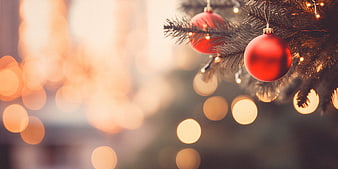 Christmas tree branch with red baubles and bokeh lights