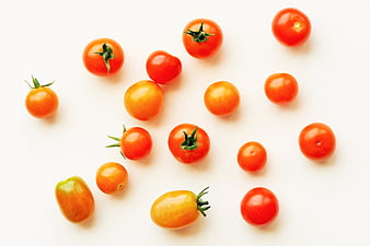 Fresh Cherry Tomatoes Scattered On White Background