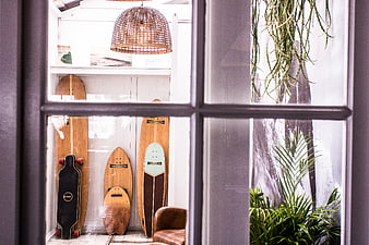 Skateboards and surfboards displayed in a shop window