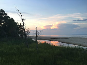 Serene Sunset Landscape with Sandy Beach and Grass