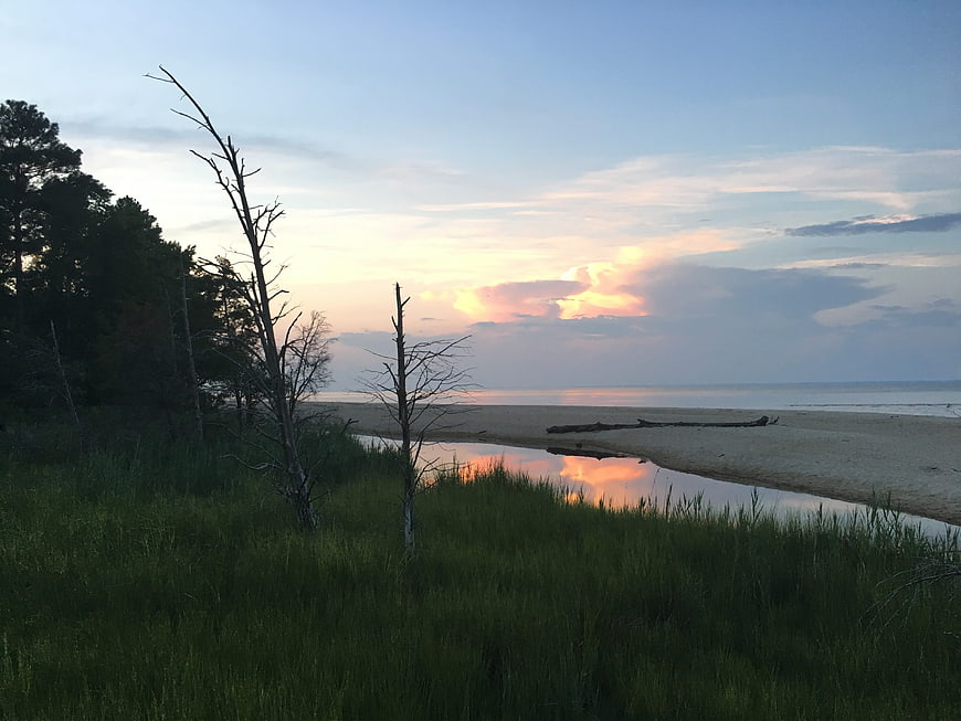 Serene Sunset Landscape with Sandy Beach and Grass