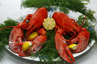 Two cooked red lobsters with lemon wedges and fresh dill on a white plate