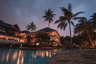 Luxury tropical resort pool at dusk with palm trees