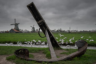 Rusty Anchor in Foreground with Dutch Windmills and Birds