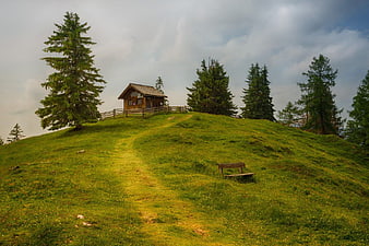 Rustic Log Cabin on Grassy Hill with Pine Trees