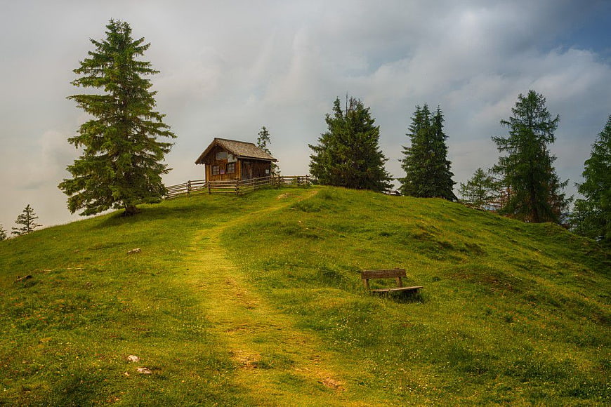 Rustic Log Cabin on Grassy Hill with Pine Trees