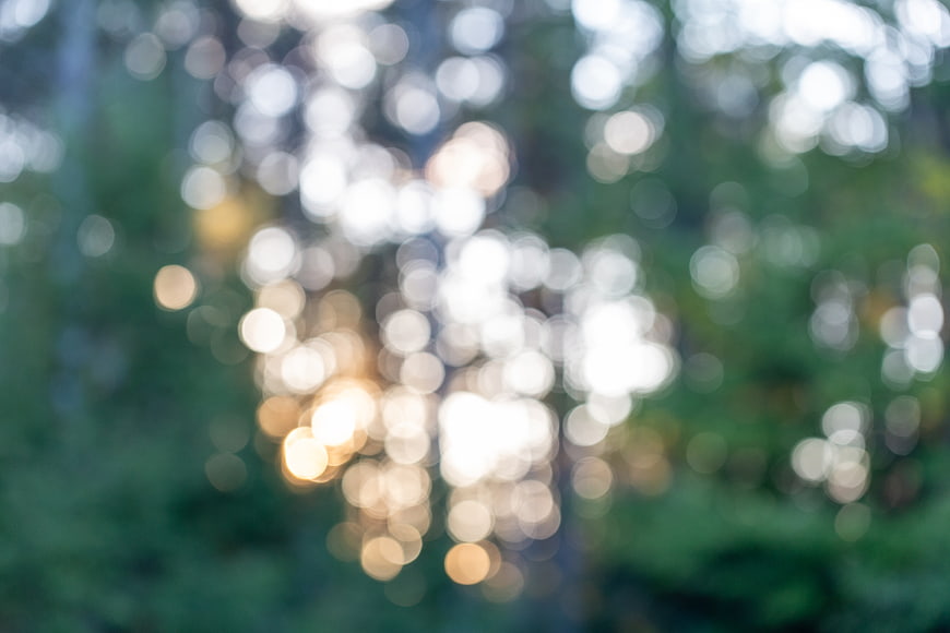 Abstract Bokeh Background with Sunlight Filtering Through Forest Trees