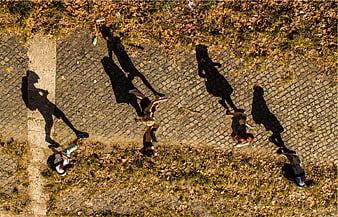Aerial view of people walking on cobblestone path with long shadows