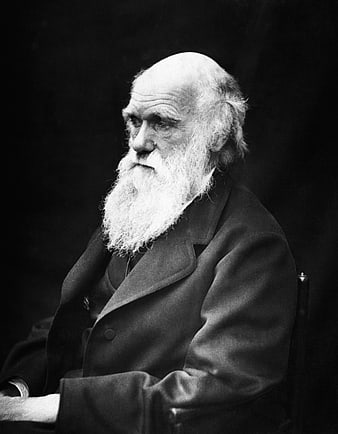 Historical Black and White Portrait of Charles Darwin