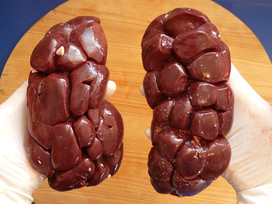 Raw Beef Kidneys Held in Gloved Hands on Wooden Board
