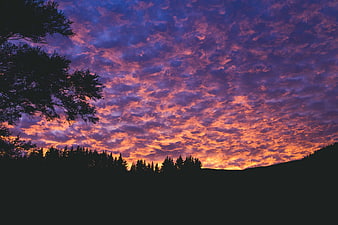 Dramatic Sunset Sky with Silhouetted Trees and Clouds