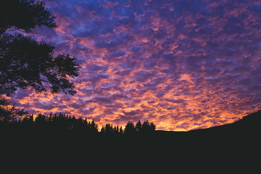Dramatic Sunset Sky with Silhouetted Trees and Clouds