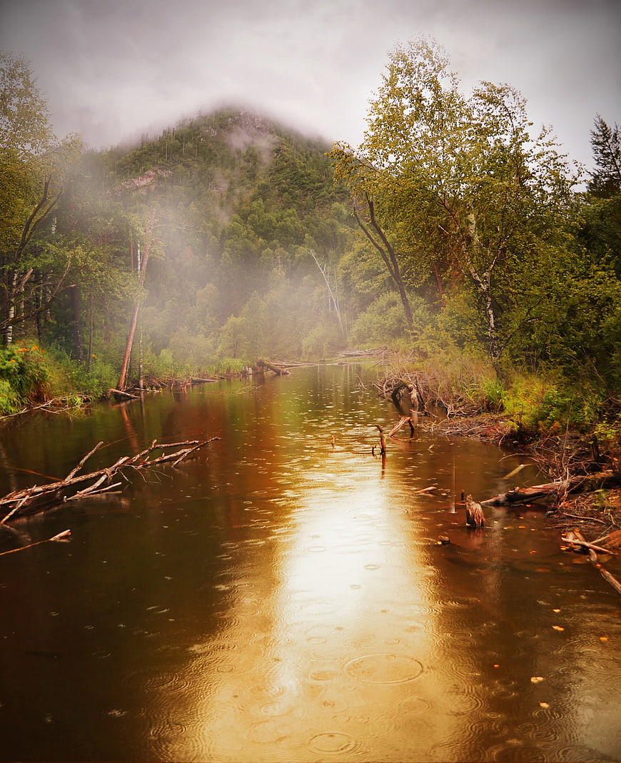 Misty forest river with raindrops and foggy mountain backdrop