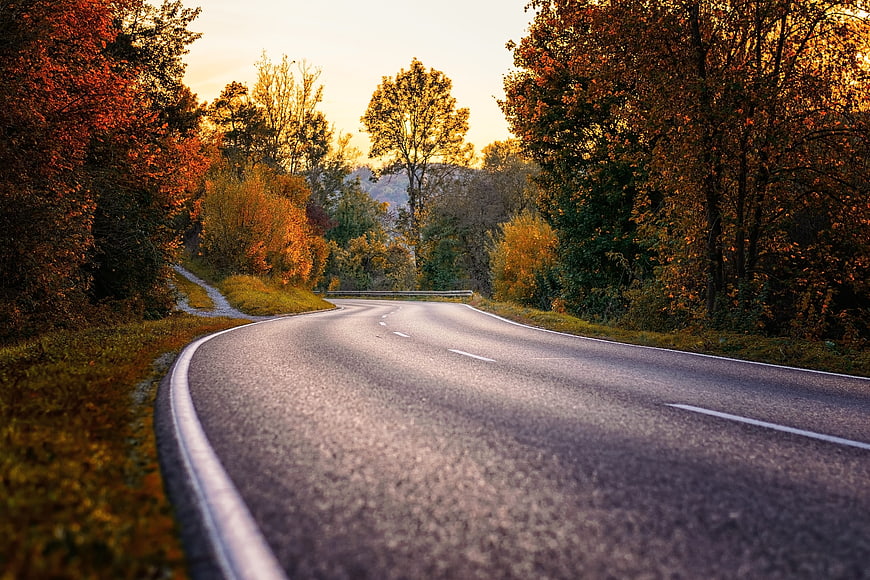 Winding Country Road Through Autumn Forest at Golden Hour