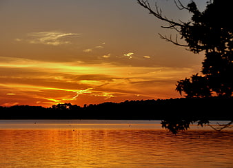 Golden Sunset Over Lake with Silhouetted Trees