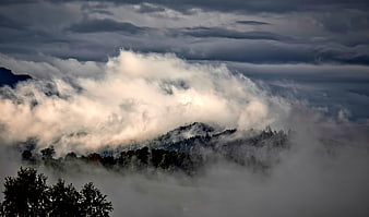 Misty Mountain Landscape with Clouds and Forest