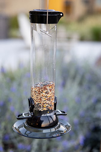 Hanging Bird Feeder with Seeds in Garden