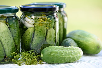 Homemade Pickled Cucumbers in Glass Jars with Fresh Dill