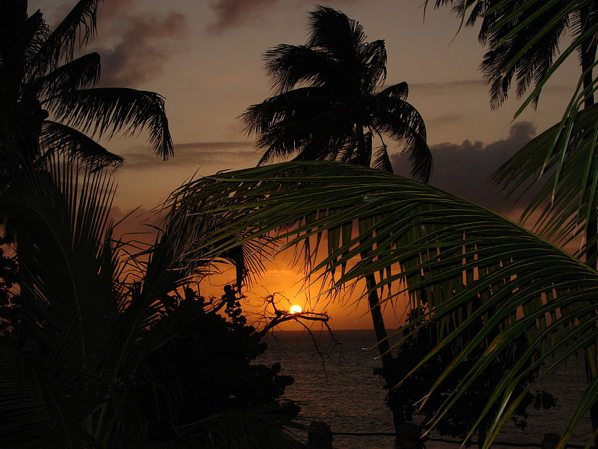 Tropical sunset silhouette with palm trees over the ocean
