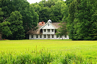 Traditional White House with Thatched Roof in Green Meadow