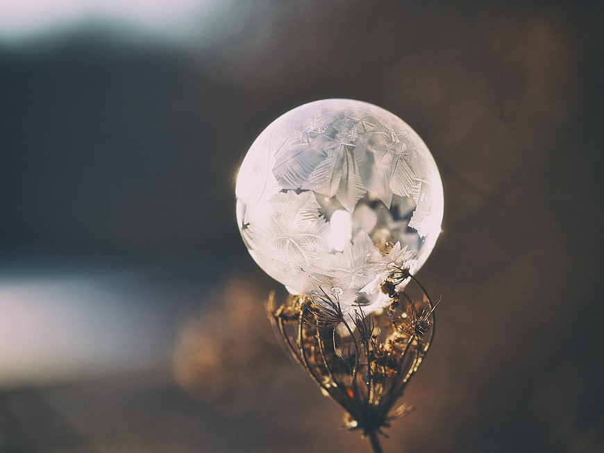 Frosted Crystal Ball on Dried Plant Stem in Soft Light