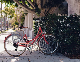 Red bicycle parked on sidewalk near flowering bushes