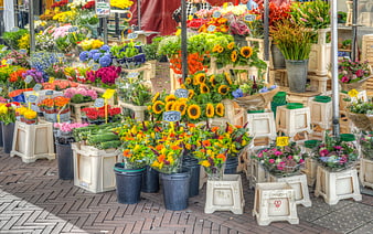 Colorful flower market stall with sunflowers and bouquets
