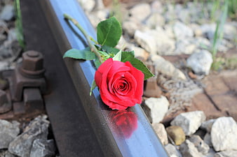 Red rose resting on a rusty railway track with gravel background