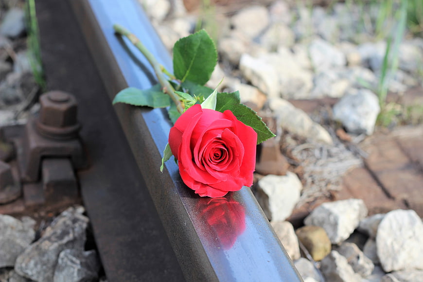 Red rose resting on a rusty railway track with gravel background