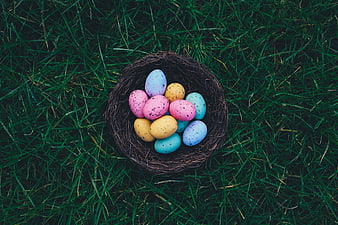 Colorful speckled Easter eggs in a natural twig nest on green grass