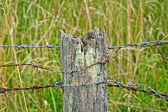 Weathered wooden fence post with barbed wire in a grassy meadow