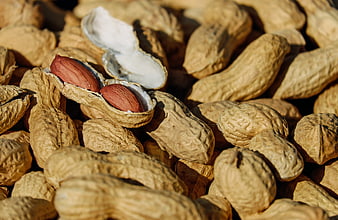 Close-up of roasted peanuts in shell with one cracked open