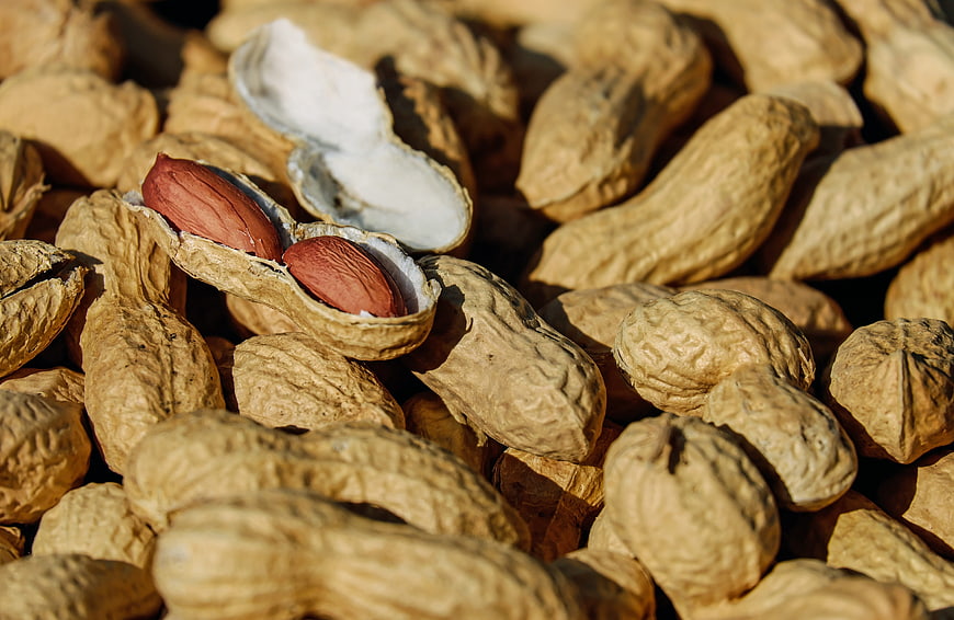 Close-up of roasted peanuts in shell with one cracked open