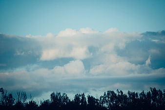 Dramatic Blue Sky with Clouds and Tree Silhouette