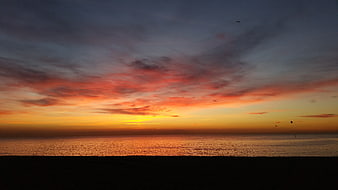 Vibrant sunset over calm ocean with birds flying